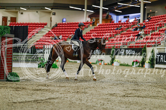2025 - Haylee - Royal West - Saturday October 18th - 03244