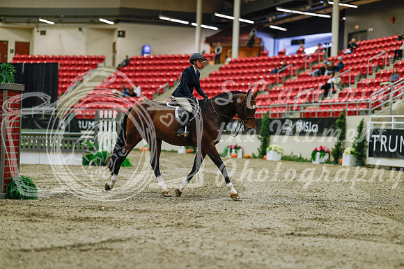 2025 - Haylee - Royal West - Saturday October 18th - 03246