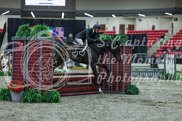 2025 - Shea - Royal West - Saturday October 18th - 00133