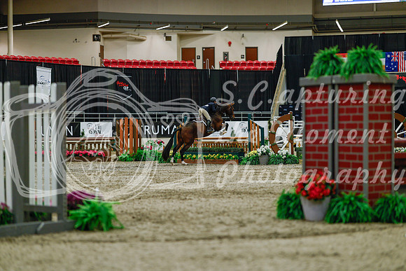 2025 - Haylee - Royal West - Saturday October 18th - 03251