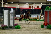 2025 - Haylee - Royal West - Saturday October 18th - 03254
