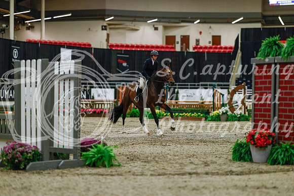2025 - Haylee - Royal West - Saturday October 18th - 03255