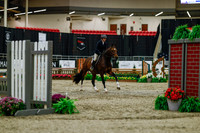 2025 - Haylee - Royal West - Saturday October 18th - 03256