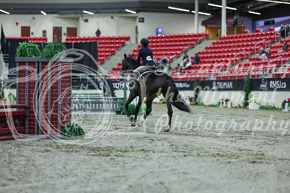 2025 - Shea - Royal West - Saturday October 18th - 00245