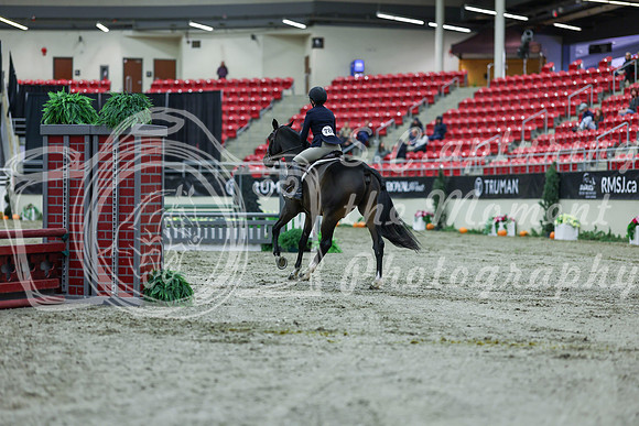 2025 - Shea - Royal West - Saturday October 18th - 00246