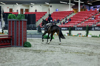 2025 - Shea - Royal West - Saturday October 18th - 00247