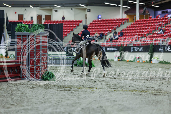 2025 - Shea - Royal West - Saturday October 18th - 00248