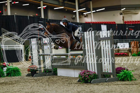 2025 - Haylee - Royal West - Saturday October 18th - 03263