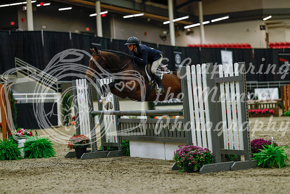 2025 - Haylee - Royal West - Saturday October 18th - 03265