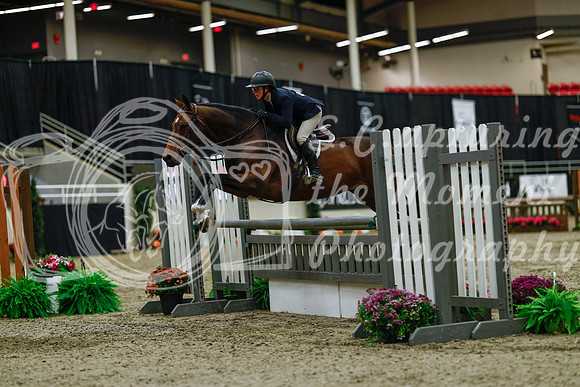 2025 - Haylee - Royal West - Saturday October 18th - 03266