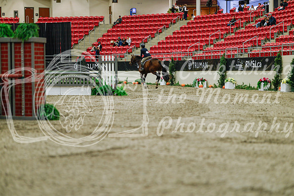2025 - Haylee - Royal West - Saturday October 18th - 03267