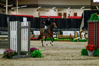 2025 - Haylee - Royal West - Saturday October 18th - 03194