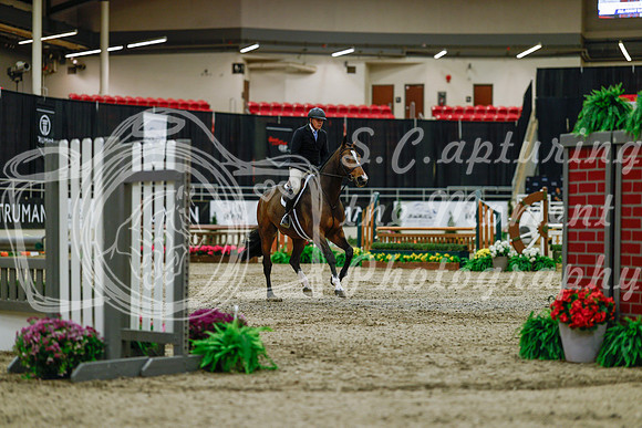 2025 - Haylee - Royal West - Saturday October 18th - 03195