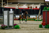 2025 - Haylee - Royal West - Saturday October 18th - 03196