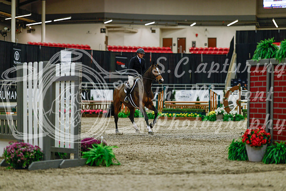 2025 - Haylee - Royal West - Saturday October 18th - 03196