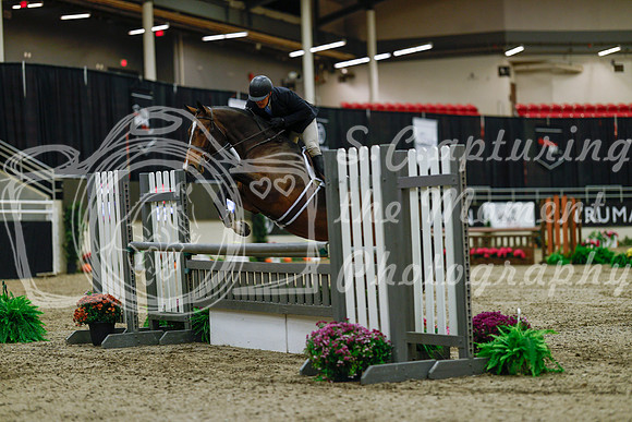 2025 - Haylee - Royal West - Saturday October 18th - 03198