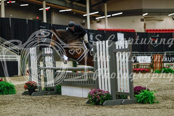 2025 - Haylee - Royal West - Saturday October 18th - 03199