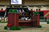 2025 - Haylee - Royal West - Saturday October 18th - 03197