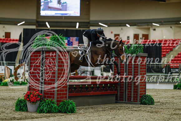 2025 - Haylee - Royal West - Saturday October 18th - 03197