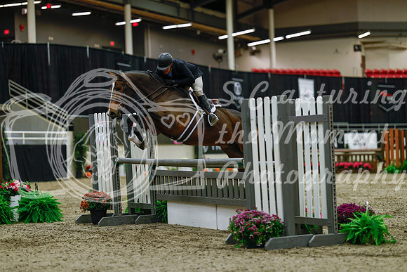 2025 - Haylee - Royal West - Saturday October 18th - 03202