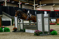 2025 - Haylee - Royal West - Saturday October 18th - 03203