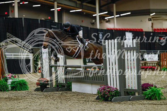 2025 - Haylee - Royal West - Saturday October 18th - 03203