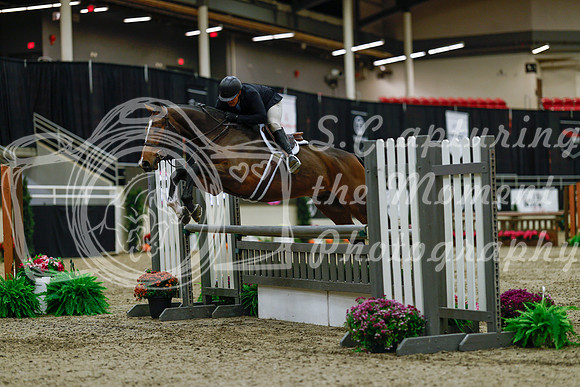 2025 - Haylee - Royal West - Saturday October 18th - 03204