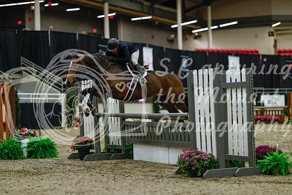 2025 - Haylee - Royal West - Saturday October 18th - 03205