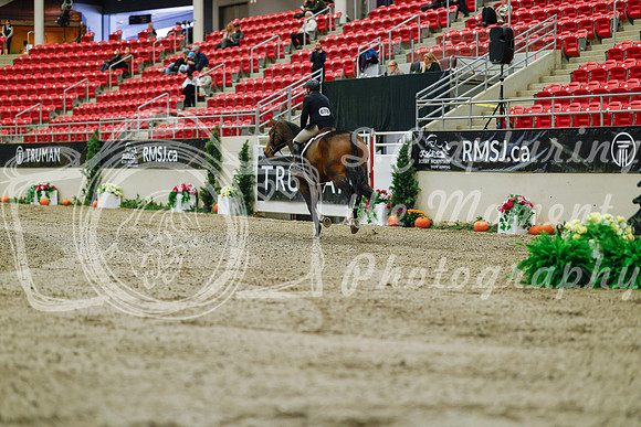 2025 - Haylee - Royal West - Saturday October 18th - 03207