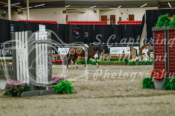 2025 - Haylee - Royal West - Saturday October 18th - 03209
