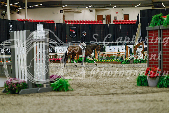 2025 - Haylee - Royal West - Saturday October 18th - 03210