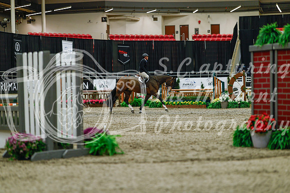 2025 - Haylee - Royal West - Saturday October 18th - 03211