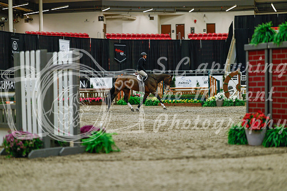 2025 - Haylee - Royal West - Saturday October 18th - 03212