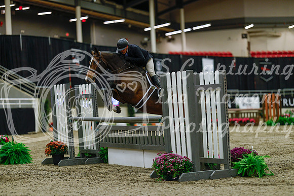 2025 - Haylee - Royal West - Saturday October 18th - 03280