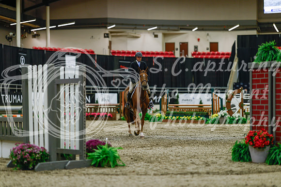2025 - Haylee - Royal West - Saturday October 18th - 03543