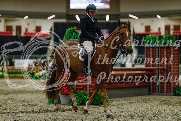 2025 - Haylee - Royal West - Saturday October 18th - 03547