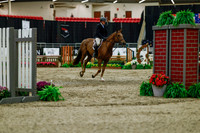 2025 - Haylee - Royal West - Saturday October 18th - 03550