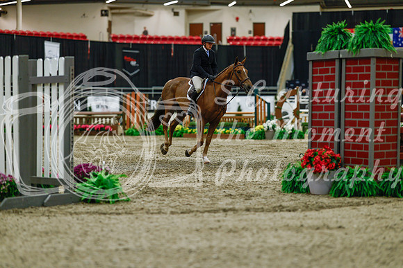 2025 - Haylee - Royal West - Saturday October 18th - 03550