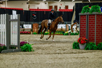 2025 - Haylee - Royal West - Saturday October 18th - 03549