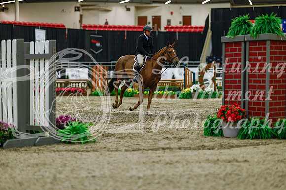 2025 - Haylee - Royal West - Saturday October 18th - 03549