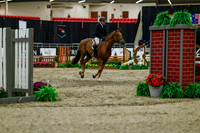 2025 - Haylee - Royal West - Saturday October 18th - 03551