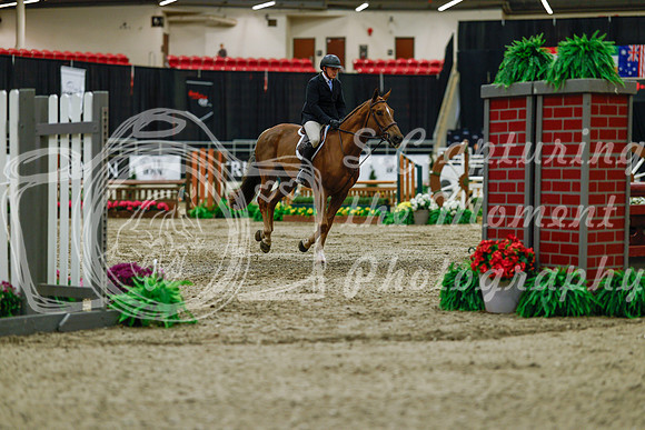 2025 - Haylee - Royal West - Saturday October 18th - 03551