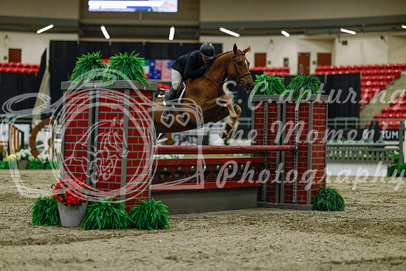 2025 - Haylee - Royal West - Saturday October 18th - 03552