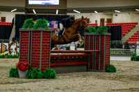2025 - Haylee - Royal West - Saturday October 18th - 03553