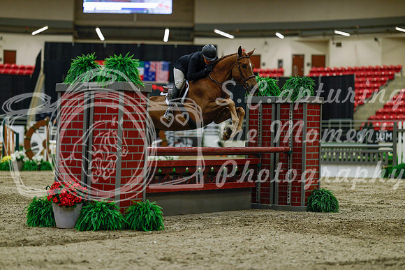2025 - Haylee - Royal West - Saturday October 18th - 03553