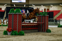 2025 - Haylee - Royal West - Saturday October 18th - 03554