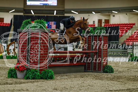 2025 - Haylee - Royal West - Saturday October 18th - 03554