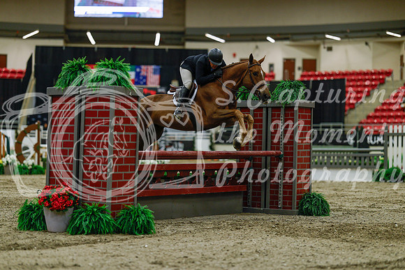 2025 - Haylee - Royal West - Saturday October 18th - 03555