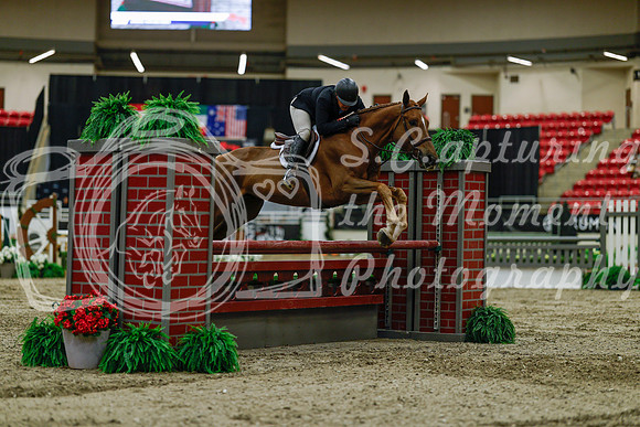 2025 - Haylee - Royal West - Saturday October 18th - 03556