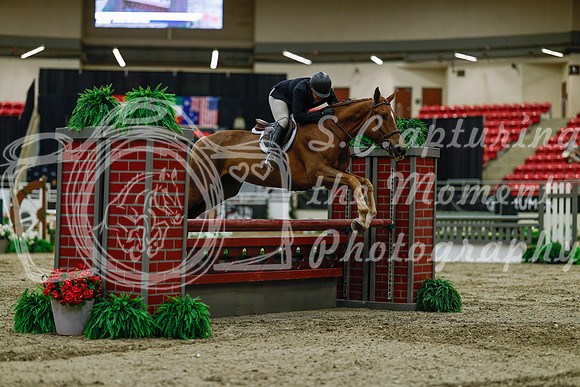 2025 - Haylee - Royal West - Saturday October 18th - 03557